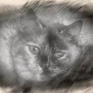 Meet your Posher, Esther